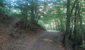 Tour Wandern Ancelle - toufde la Pinouse : pré bouria . Le rouanne . la pinouse . moissiere . pré bouria - Photo 1