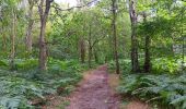 Trail Walking Liège - Quadrifyon autour de la lande de Streupas - Photo 1