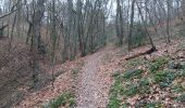 Trail Walking Liège - angleur . bois saint Jacques / bois Saint Laurent. angleur - courte - Photo 13