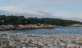 Tour Wandern Antibes - Cap d'Antibes - Photo 1