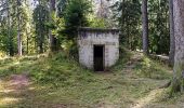 Trail On foot Brasov - Poiana Brașov - Peștera de Lapte - Photo 1