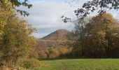 Trail Walking Liège - les 4 terrils - Photo 13
