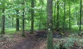 Trail On foot Bad Emstal - Rundwanderweg 