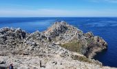 Trail Walking Plogoff - la pointe du Raz - Photo 8