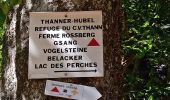 Trail Walking Bitschwiller-lès-Thann - Col du Hundsruck - Belacker (30/7/2020) - Photo 3