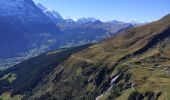 Tocht Stappen Grindelwald - Lacs de Bashsee - Photo 15