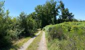 Tocht Stappen Saint-Hubert - Poix saint Hubert 21km - Photo 14