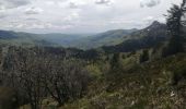 Tour Wandern Laveissière - Le téton de venus - Photo 8