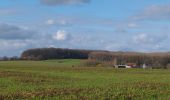 Tour Wandern Écaussinnes - Ecaussinnes et le Bois de la Houssiere - Photo 6