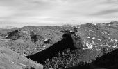 Excursión Senderismo Cassis - Pas de la Colle - Falaises Soubeyranes - Sémaphore du Bec de l'Aigle - Anse de Figuerolles - Parc Mugel - La Ciotat - Photo 20