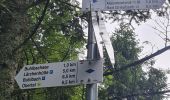 Trail Walking Bad Peterstal-Griesbach - Buhlbachsee & Lotharpfad - Photo 5