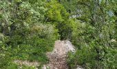 Trail Walking Annecy - 260523 Monr Veyrier - Photo 5