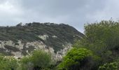 Randonnée Marche Hyères - Porquerolles - Photo 18