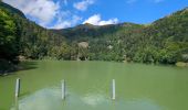 Randonnée Marche La Bresse - Le Hohneck et ses lacs d'altitude - Photo 15