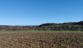 Trail Walking Plombières - A la découverte de Hombourg - Photo 17