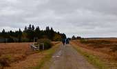 Trail Walking Baelen - 20231030 - Drossart 7.8 Km - Photo 18