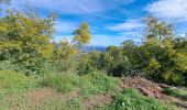 Trail Walking Mandelieu-la-Napoule - taneron - Photo 3
