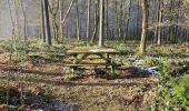 Tocht Stappen Profondeville - La promenade du bois de Nimes à Lustin - Profondeville - Photo 1