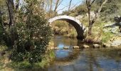 Trail Walking Castries - Castries pont des Tourilles Fondespierres - Photo 3