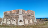 Trail Walking Argelès-sur-Mer - argeles - collioure / retour par la mer  - Photo 17