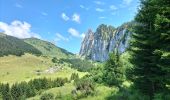 Tocht Stappen Vacheresse - Tour du Mont Chauffé  - Photo 1