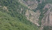 Randonnée Marche Riols - saut de vesole - Photo 1