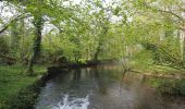 Randonnée A pied Breckland - Lynford Circular Walk - Photo 7