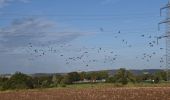 Trail Walking Dalhem - 20231019 - Balade ornithologique Dalhem - 5.9 Km - Photo 7