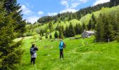 Trail Walking Albepierre-Bredons - Cascades . Albepierre / Col de Prat de Bouc - Photo 3