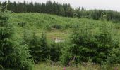 Percorso A piedi South Lakeland - Carron Crag Trail - Photo 2