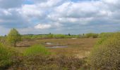 Trail Walking Waimes - petit tour en Brackvenn  - Photo 7