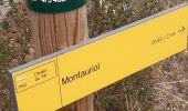 Randonnée Marche Montauriol - suite - Photo 4