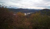 Excursión Senderismo Besançon - Velotte Fort de Chaudanne - Photo 10