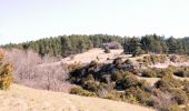 Tour Wandern Aurel - Le Plateau de Solaure par Aurel - Photo 6