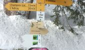 Tocht Sneeuwschoenen Orsières - Champex Lac - Belvédère - Champex Lac - Photo 8