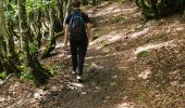 Trail Walking Xonrupt-Longemer - 2024 RA Vosges J4 autour du Kastelberg - Photo 10