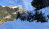 Tocht Sneeuwschoenen La Clusaz - La Clusaz - Les Aravis - Photo 4