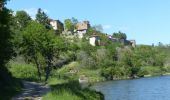 Trail Walking Saint-Jean-Saint-Maurice-sur-Loire - St Jean-St Maurice 18km - Photo 3