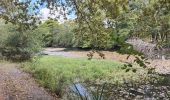 Randonnée Marche Dax - Boucle le long de l Adour - Photo 3