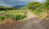 Tour Wandern Le Lorrain - Boucle Seguineau 22 Mai - Photo 4