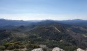 Trail Walking Trets - Mont Olympe et rocher de onze heures - Photo 3