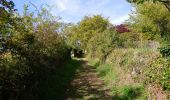 Trail Walking Montsoreau - Montsoreau - GR3 Turquant Parnay Souzay - 15km 185m 3h30 - 2023 10 01 - Photo 1