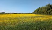 Randonnée Marche Manthelan - Manthelan - le Louroux - via PRs - 20.7km 100m 4h45 (1h) - 2025 04 30 - Photo 18