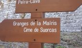 Trail Walking Lantosque - grange de Suorcas et Mairis - Photo 13