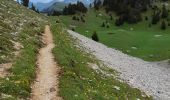 Trail Walking Châtillon-en-Diois - Tête Chevalière depuis Combeau - Photo 2