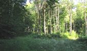 Randonnée Marche Oigny-en-Valois - en forêt de Retz_81_vers les étangs de Bourcq et sur le GR11 - Photo 18