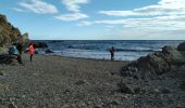 Tocht Stappen Banyuls-sur-Mer - Banyuls Cerbère  - Photo 8