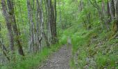 Randonnée Marche Courgoul - Les gorges de Courgouls et le Pic de Cluzel - Photo 17