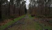 Trail Walking Saint-Ghislain - La mer de sable  - Photo 4