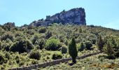 Tocht Te voet Orgosolo - (SI Z16) Sa Sinepida - Ilodei Malu (Caserma Montes) - Photo 6